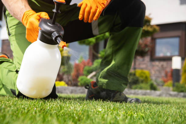 Professional Pest Control in Creswell, OR